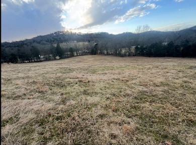 502 Rogues Fork Rd, Westmoreland, TN 37022 - photo 4