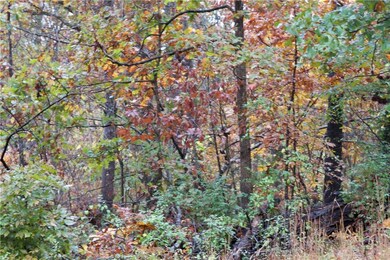 0 Pease Dr, Bella Vista, AR 72715 - photo 2