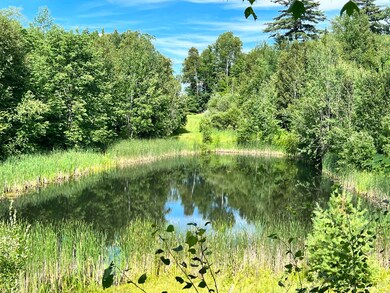 0 Buck unit 4922761, Dalton, NH 03598 - photo 3