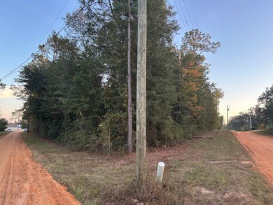 16,17,18 Paradise Cir, Donalsonville, GA 39845 - photo 2