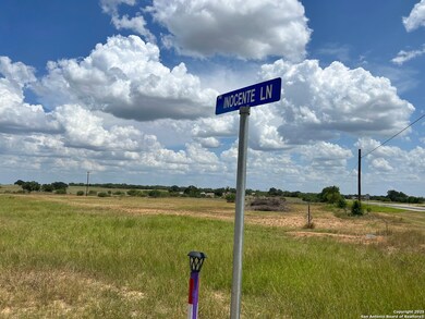 8774 N US Hwy 281, Leming, TX 78050 - photo 5
