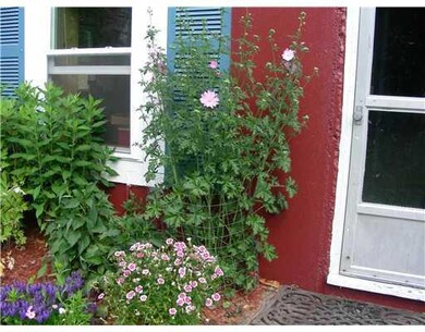 Yard/Garden.