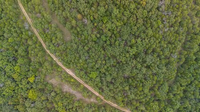 000 Merritt Rd, Chadwick, MO 65629 - photo 5