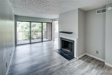 1505 Largo Rd unit 304, Henrico, VA 23238 - photo 3