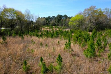 North Parcel