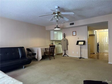 Large living room view to dining, kitchen and front door