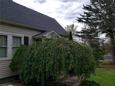 tree