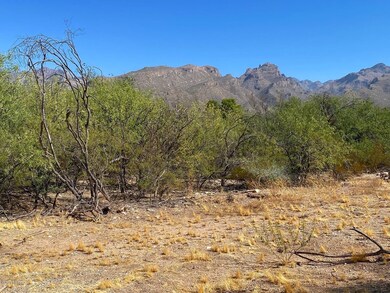 Lot Pic 3