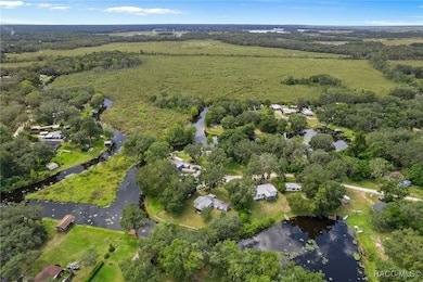 2011 N Twig Point, Inverness, FL 34453 - photo 5