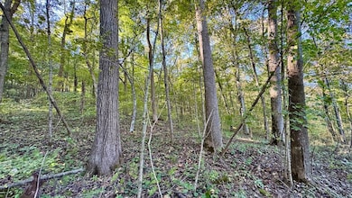 5139 Peggy Hollow Rd, Shoals, IN 47581 - photo 2