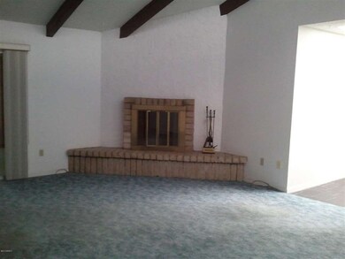 2013-07-19 Fireplace