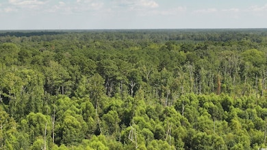 0 Highway 521 unit Tract 2, Greeleyville, SC 29056 - photo 6