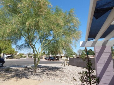 9202 N 3rd Dr, Phoenix, AZ 85021 - photo 5