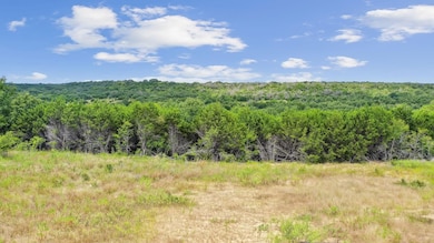 Lot 15 unit High Ridge Court, Mineral Wells, TX 76067 - photo 7