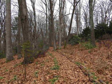 TBD Windsor Rd, Harrisonburg, VA 22801 - photo 5