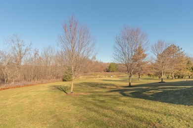 6838 Daly Rd, Dexter, MI 48130 - photo 5