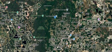 8061 Quail Hollow Blvd, Wesley Chapel, FL 33544 - photo 4