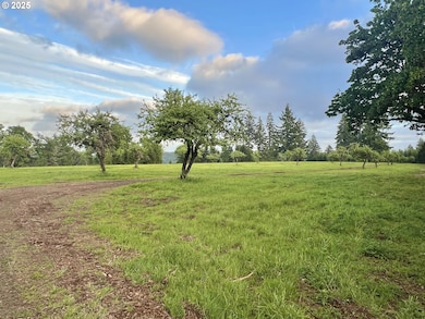 11892 Dupee Valley Rd, McMinnville, OR 97128 - photo 6