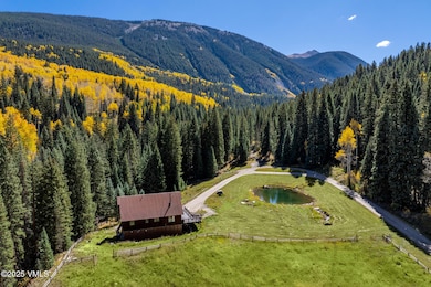 801 Holy Cross Dr, Edwards, CO 81632 - photo 6