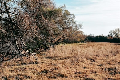 View of local wilderness