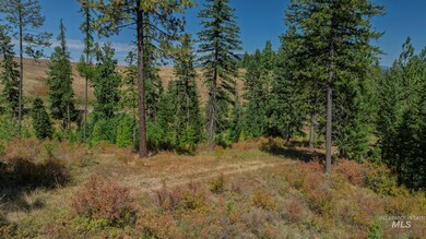 NKA O'Reilly Rd, Princeton, ID 83857 - photo 6