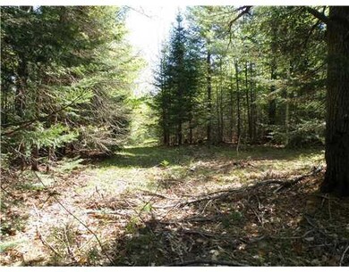 LOT 3&4 Gray Hill Rd, Dover-Foxcroft, ME 04426 - photo 6