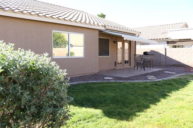 backyard #3 (2)