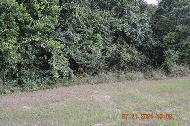 310 Wright Rd, Phenix City, AL 36869 - photo 2