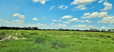 0 Mammoth Grove Rd unit MFRP4935059, Lake Wales, FL 33898 - photo 6