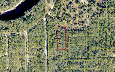 TBD Suw Park Lots 18-22, Live Oak, FL 32060 - photo 2