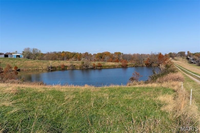 000 County Highway 217, Chaffee, MO 63740 - photo 6