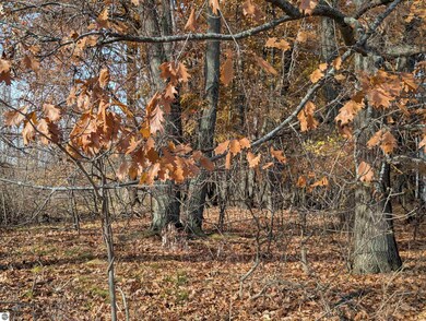 N/A Point Augres Rd, Au Gres, MI 48703 - photo 4