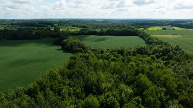 280th Street, Glenwood City, WI 54013 - photo 4