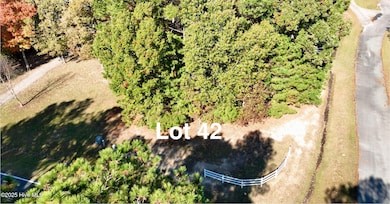 Lot 42 See View, Hertford, NC 27944 - photo 2
