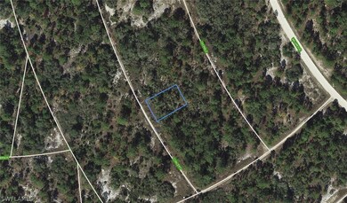 367 Concert Dr, Lake Placid, FL 33852 - photo 3