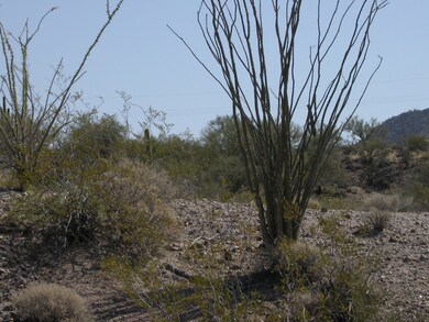 20750 W Creosote Ln unit 5, Wickenburg, AZ 85390 - photo 2