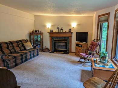 W6863 Disappearing Creek Rd, Phillips, WI 54555 - photo 6