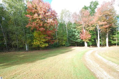 3637 Maes Rd, West Branch, MI 48661 - photo 6