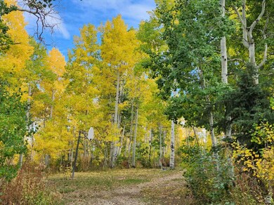 11611 Jim Bridger Dr unit H38, Huntsville, UT 84317 - photo 5