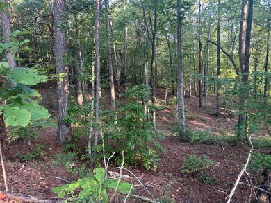 LOT 2 Shoreside at Sipsey, Double Springs, AL 35553 - photo 4