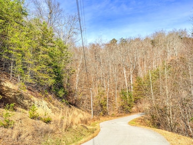 0 Wildcat Hollow Rd unit 11611764, New Tazewell, TN 37825 - photo 5