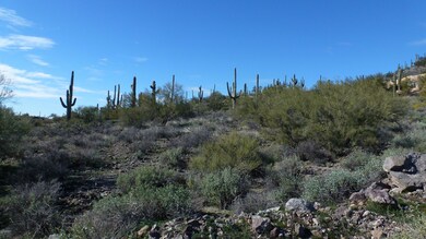New River AZ 01-02-2019 009