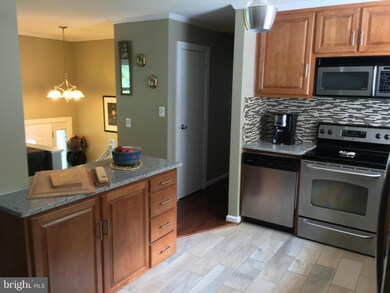 111 Spring Valley Dr, Annapolis, MD 21403 - photo 4