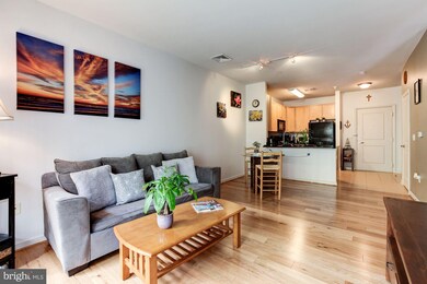 8045 Newell St unit 103, Silver Spring, MD 20910 - photo 6