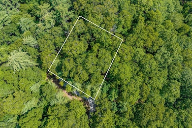 5 N Ridgeline Rd, Cullowhee, NC 28723 - photo 4