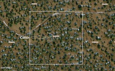 Aerial 369B WWR