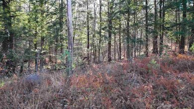 114 Weare Rd, Henniker, NH 03242 - photo 3