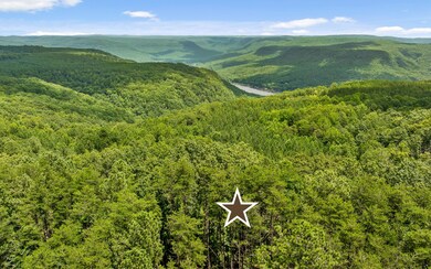 Life Amongst the Tennessee Mountains