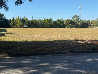 0 Forest Rd, Spring Hill, FL 34606 - photo 5