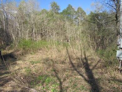 0 Hurricane Creek unit RTC1816034, Linden, TN 37096 - photo 4